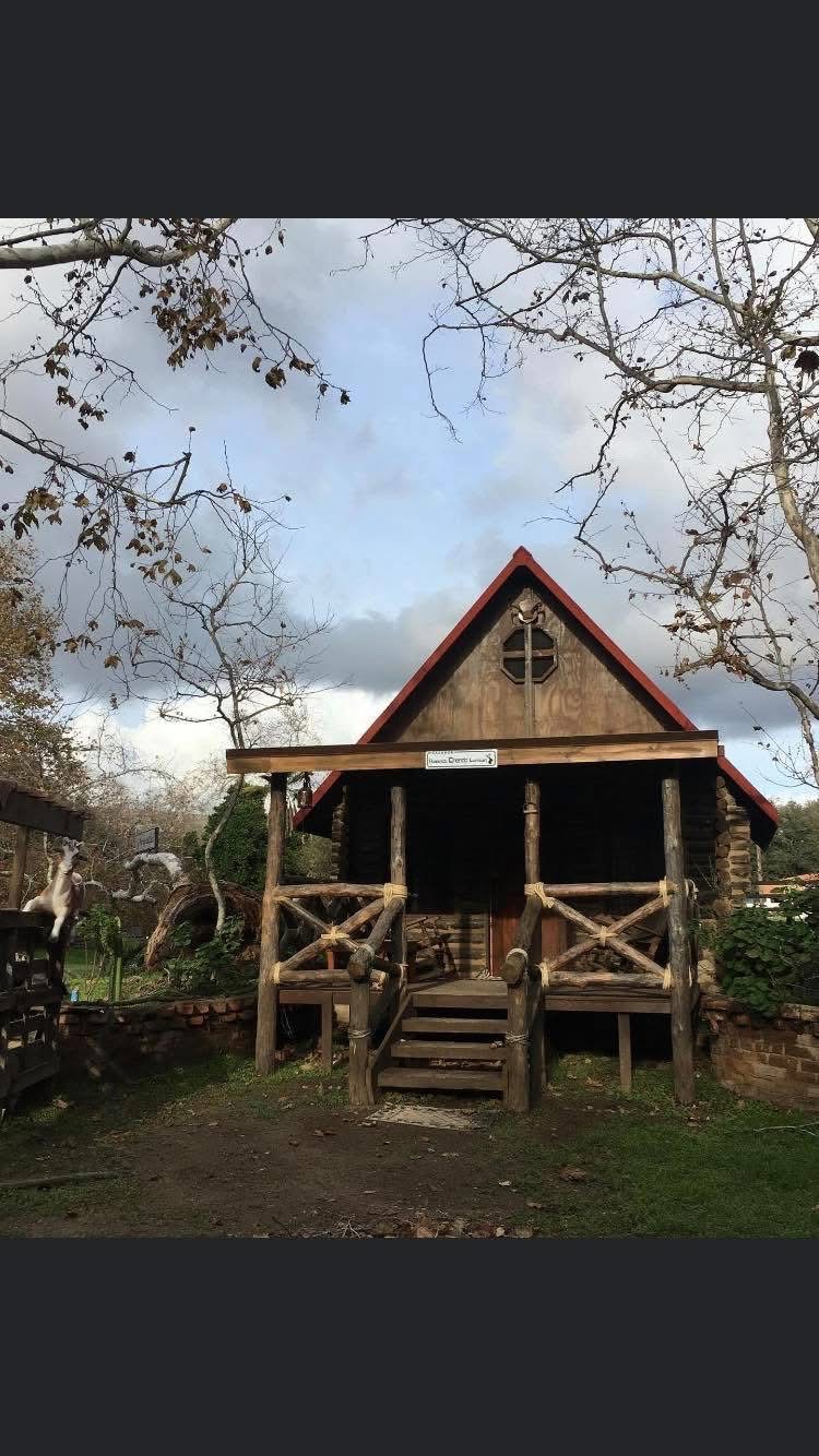 Cabaña rústica